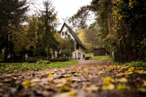 Fenyves ��t 1 Esztergom